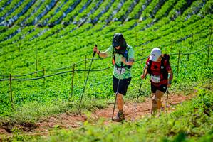 BIB: 9172, 
                            <button type="button" onclick="openModal(19163448)" class="btn btn-primary btn-sm float-right btn-popup" data-toggle="modal" data-target=".modal-high-quality">
                        <i class="fas fa-shopping-cart"></i> Add to Cart
                    </button>
                                            <button type="button" onclick="isThisMe(19163448, true)" class="btn btn-success btn-sm float-right btn-popup btn-isme hidden" data-toggle="tooltip" data-placement="bottom" title="นี่คือรูปของคุณใช่ไหม คลิกที่นี่เพื่อเอาเข้าอัลบั้ม">
                        <i class="fas fa-plus"></i> Add to album
                    </button>
                    <button type="button" onclick="isThisMe(19163448, false)" class="btn btn-warning btn-sm float-right btn-popup btn-isnotme hidden">
                        <i class="fas fa-ban"></i> Remove from album
                    </button>